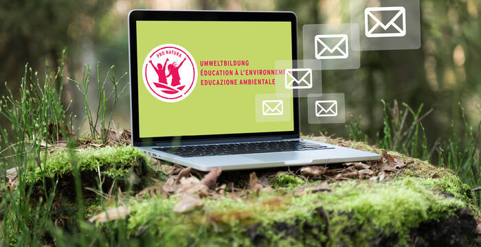 Newsletter Umweltbildung