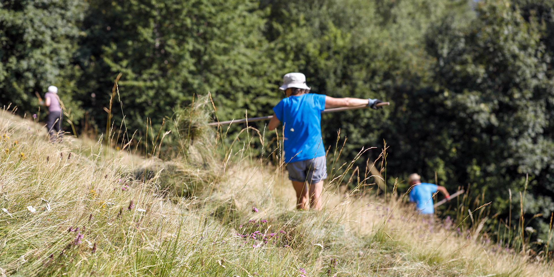 Freiwilligenarbeit Bei Pro Natura – Wir Suchen Sie | Pro Natura