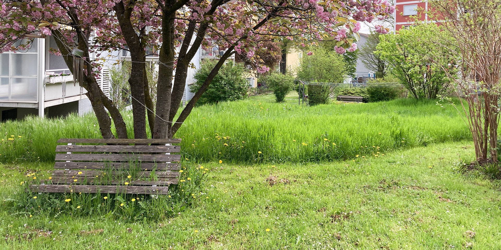 Biodiversitätsförderung In Wohnsiedlungen: Kleine Schritte Mit Grosser ...