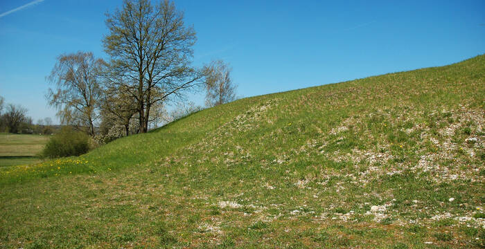 Magerwiese nach Oberbodenabtrag