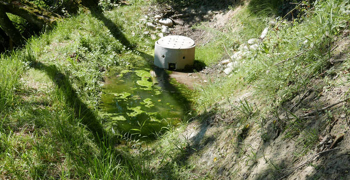 Ein neu erstellter Tümpel sammelt das Quellwasser der beiden Quellen. Der Überlauf des Tümpels befindet sich im Schacht.