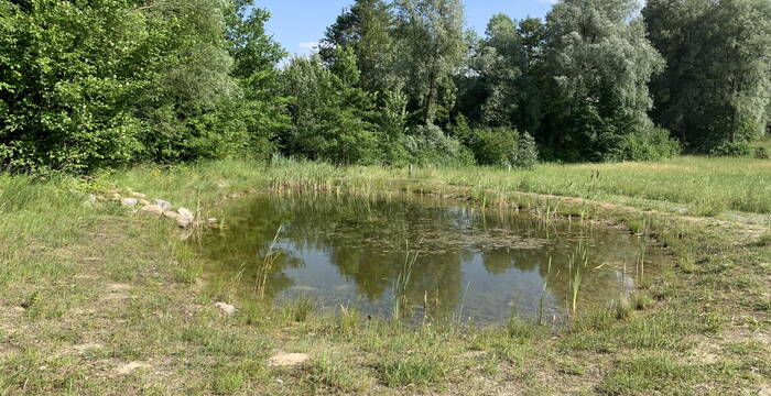 Espel Amphibienweiher @ Pro Natura St. Gallen-Appenzell