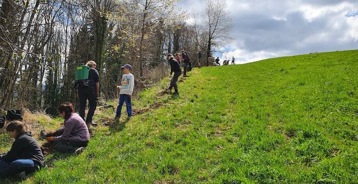 Plantation d'une haie par des bénévoles @ Quentin Kohler