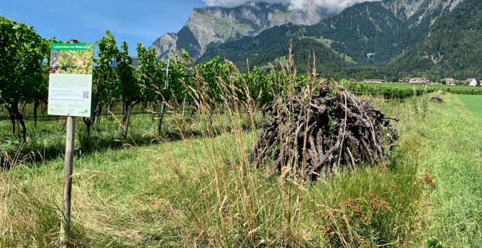 Strukturreiche Rebberge