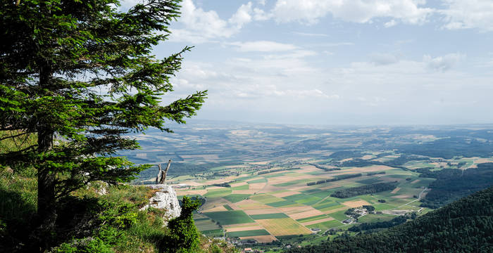 Symbolbild für Raumplanung - Blick von einem Hügel aus auf die Landschaft mit ihren bewirtschafteten Felder.