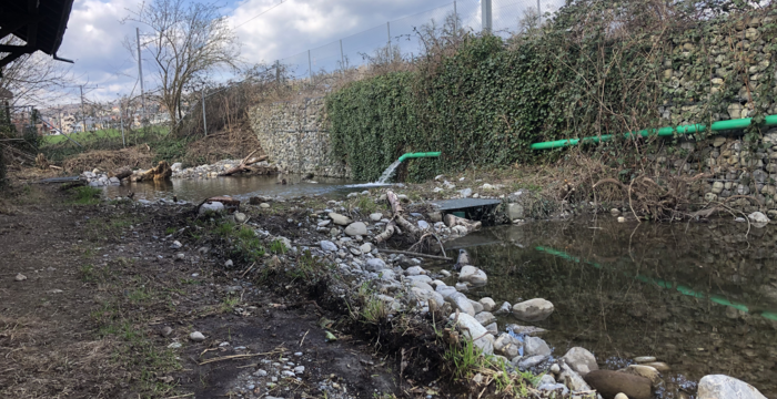 Neu erstellte Weiher