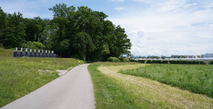 Emissionen vom Schiessstand und der angrenzenden Landwirtschaft beeinträchtigen das Naturschutzgebiet Chrutzelried.
