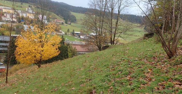 Parcelle au Locle