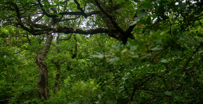 Naturschutzgebiet Les Follatères