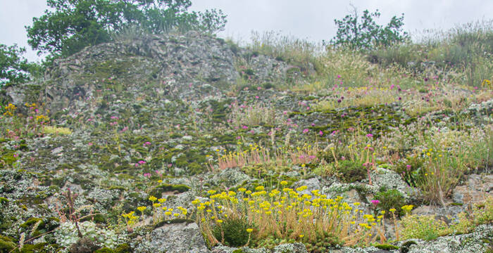 Naturschutzgebiet Les Follatères