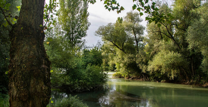 Zusammenfluss Aare und Limmat