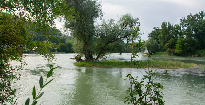 Naturschutzgebiet Limmatspitz