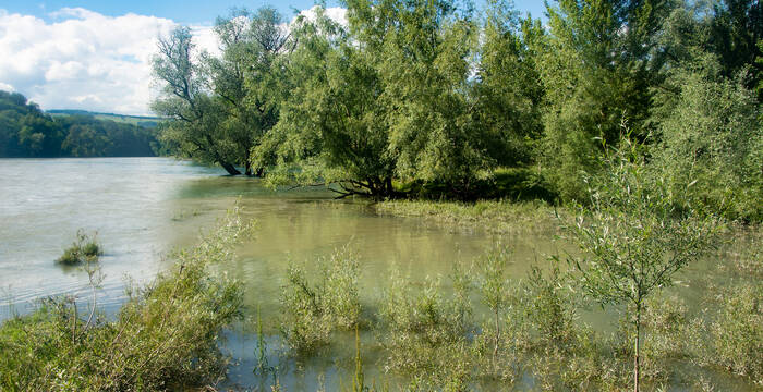 Naturschutzgebiet Limmatspitz