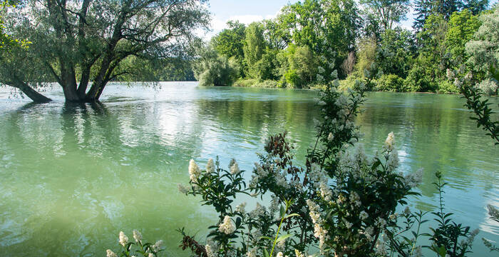 Naturschutzgebiet Limmatspitz