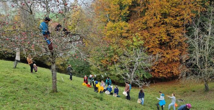 Groupe de jeunes qui recolte des pommes