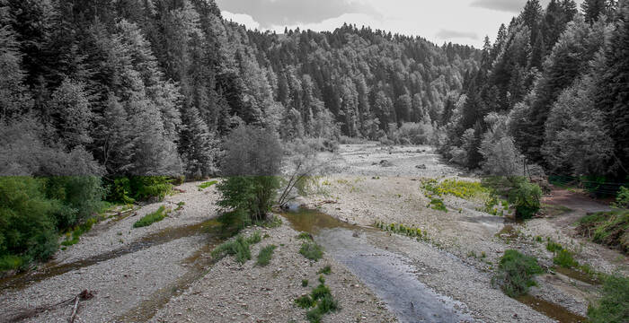 Zone alluviale de la Schwarzwasser