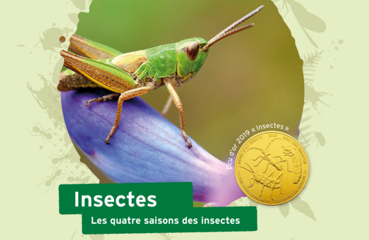 Le dossier pédagogique «Insectes»