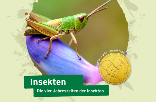 Titelbild Die vier Jahreszeiten der Insekten