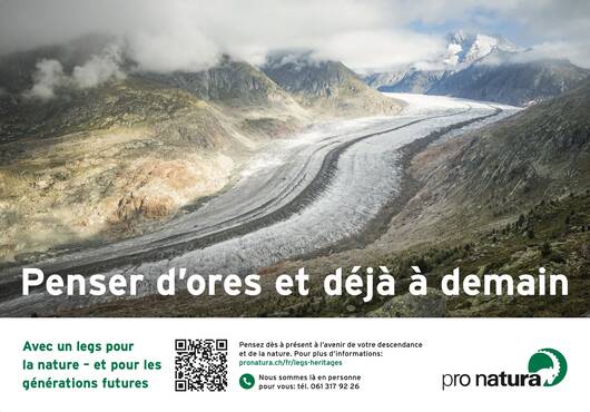 Image de l’annonce bouchon «Glacier»