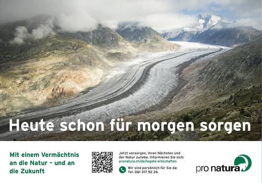 Beispiel Inserat Sujet Gletscher