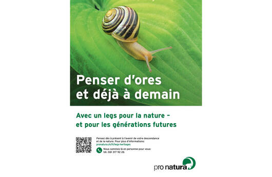 Image d'annonces bouchon «Escargot» Pro Natura