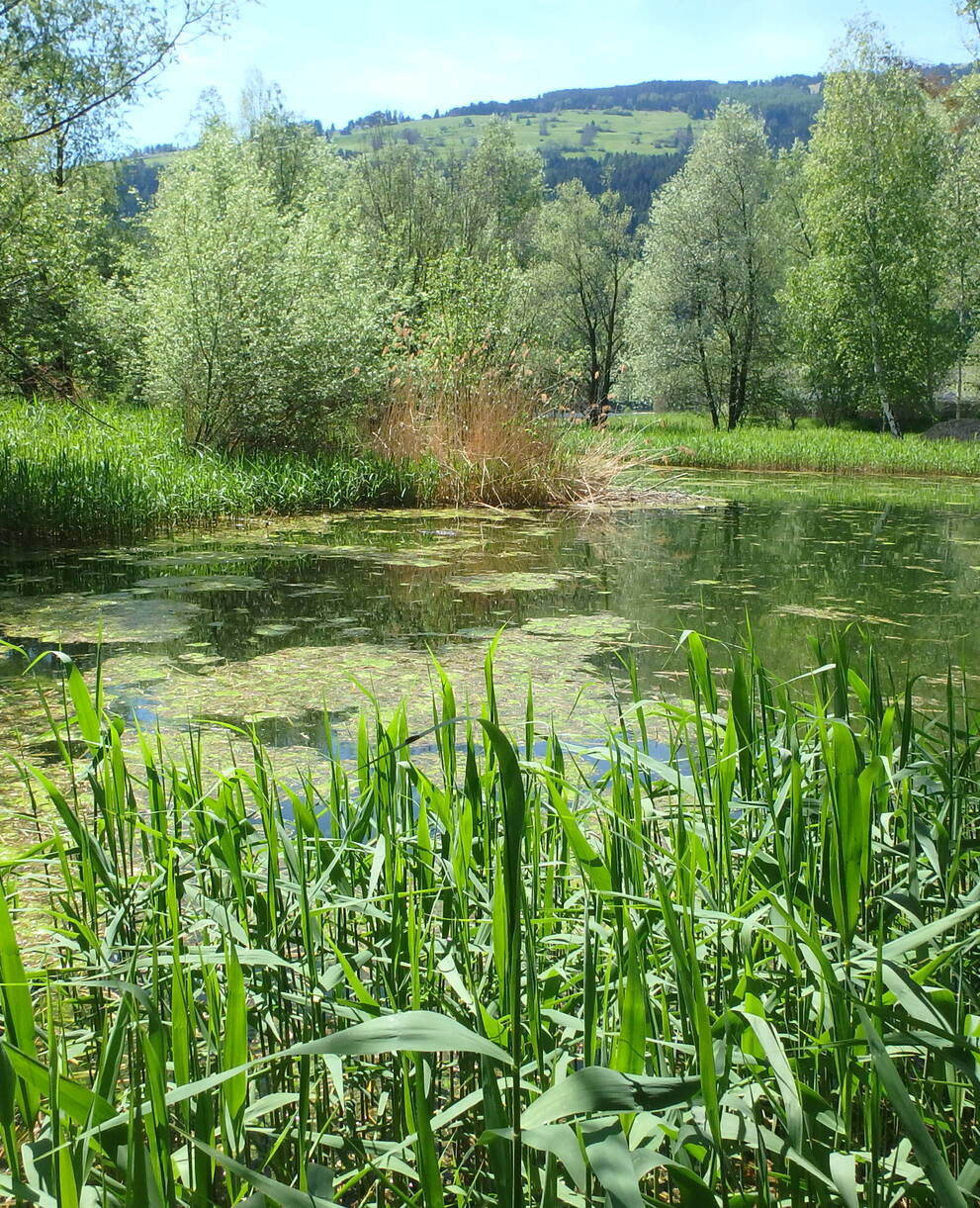 Schutzgebiet Munté