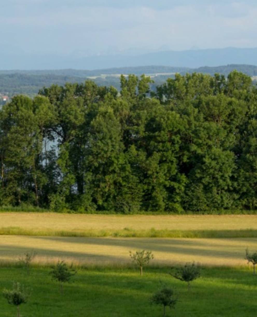 Vue panoramique de la Réserve des Chenevières de Guévaux