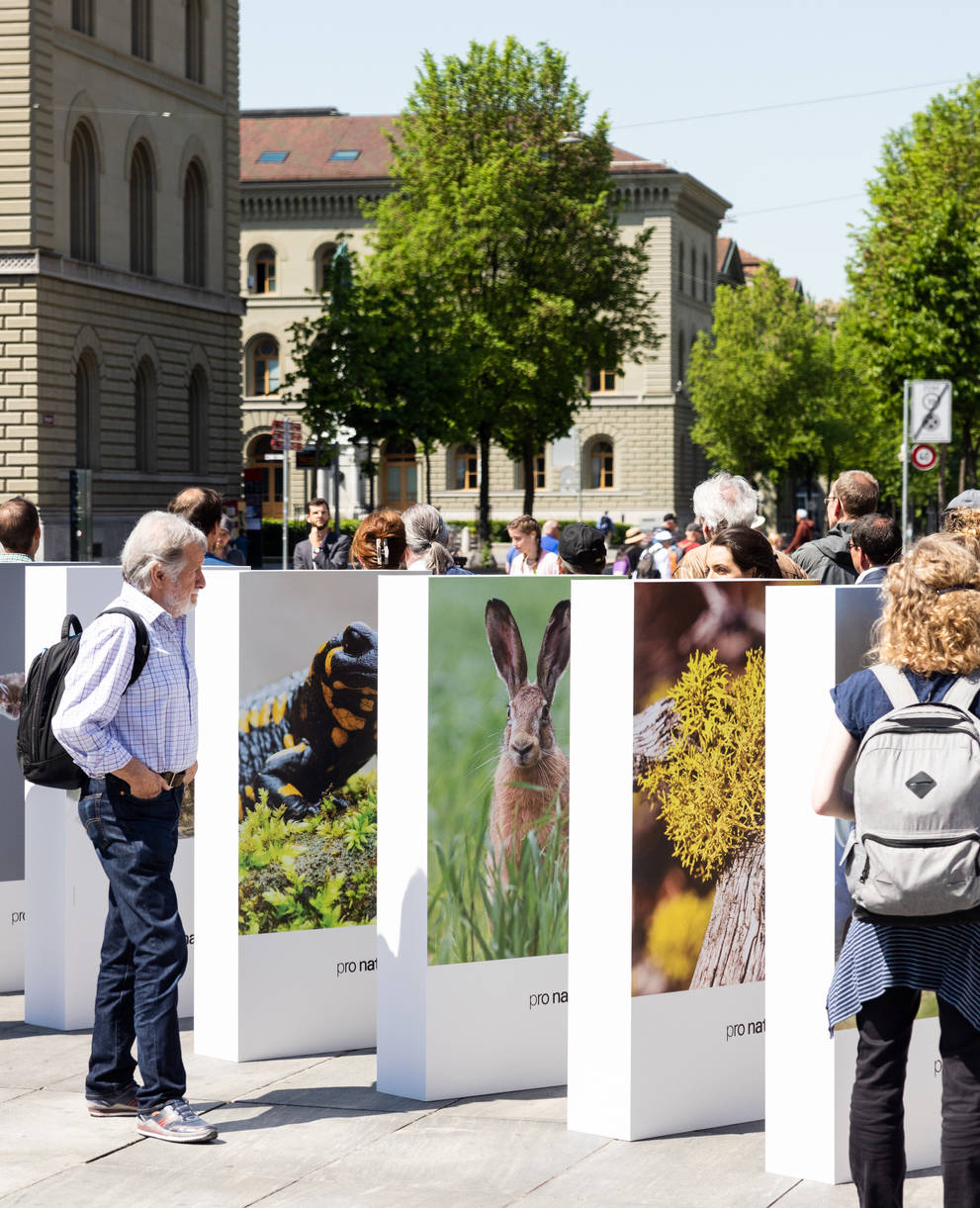 Die Krise der Biodiversität - ein gigantischer Dominoeffekt auf dem Bundesplatz. © Pro Natura