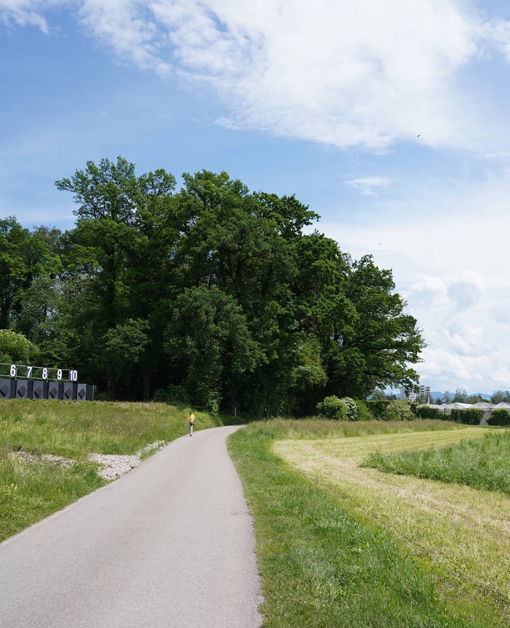 Emissionen vom Schiessstand und der angrenzenden Landwirtschaft beeinträchtigen das Naturschutzgebiet Chrutzelried.