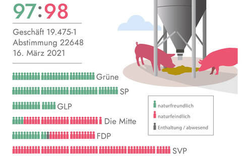 Infografik Raufutter