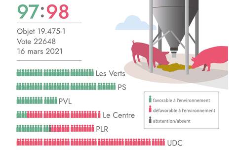 Infographie: Les fourrages grossiers