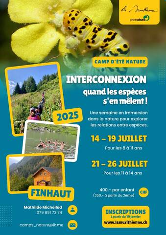 Flyer des camps 2025