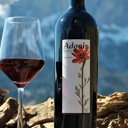 Weinglas und Weinflasche vor Bergpanorama
